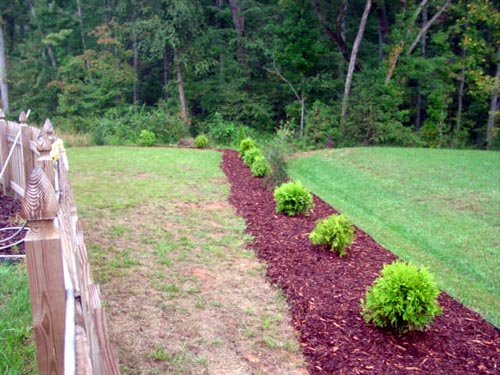 We couldn't get grass to grow along the edge of the yard, so we planted bushes and mulched along the property line.  Looks nice, and doesn't require mowing!